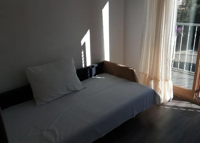 Marijica تروغير